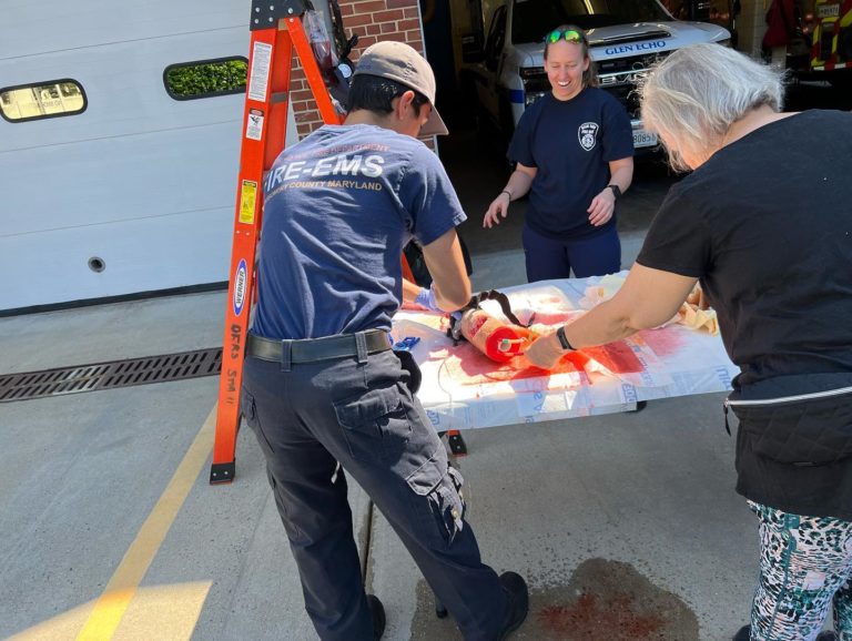 290948252_10159814299783249_3497571182380906900_n